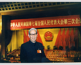 1990年参加全国政协会议